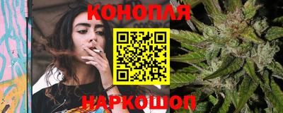 сатива Коммунар