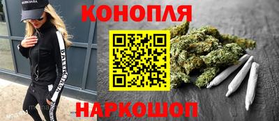 сатива Коммунар