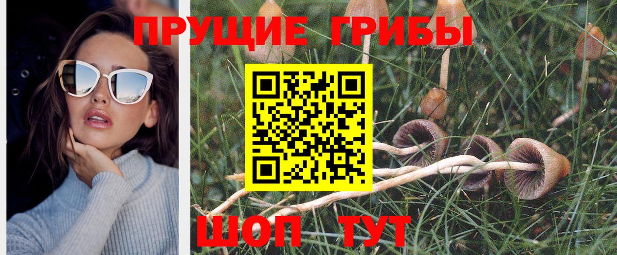 Галлюциногенные грибы Psilocybine cubensis  продажа наркотиков  Бузулук  Вход с VPN 